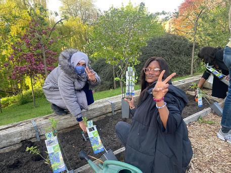 Students planting fruits in allotment