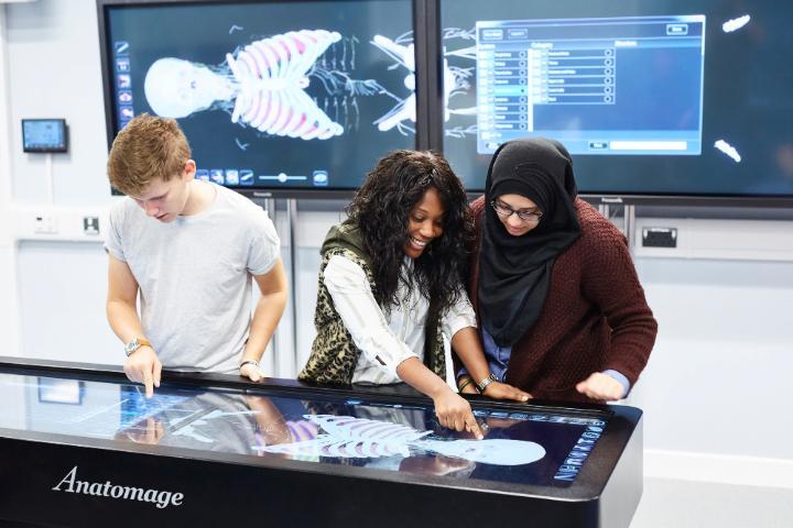 Students using the anatomage table. 