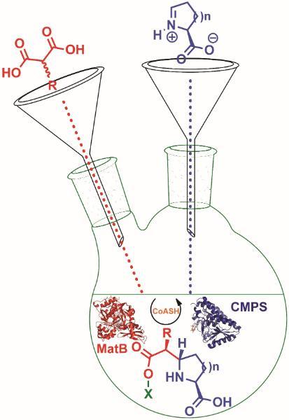 Tandem catalysis for stereoselective synthesis of shubstituted heterocycles.