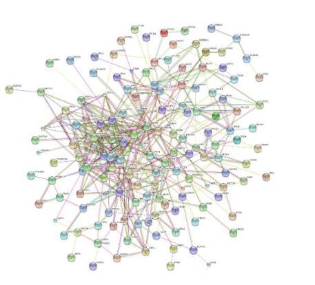 Bioinformatics image (proteomics)