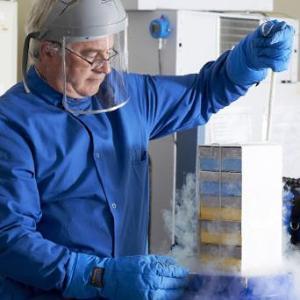 Researcher freeze drying tissue samples in liquid nitrogen