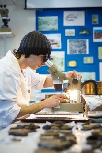 Archaeology student examining artefacts through a microscope