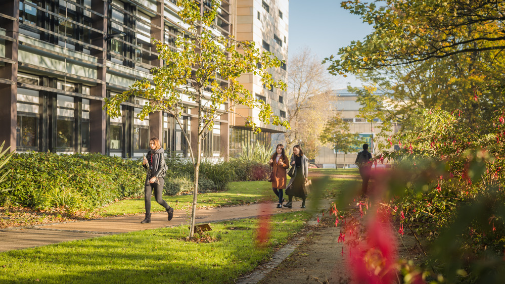 The Peace Garden on the University of Bradford campus