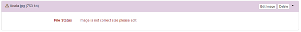 Screenshot from the photo upload section of the online enrolment portal showing an error message 'Image is not correct size please edit.'