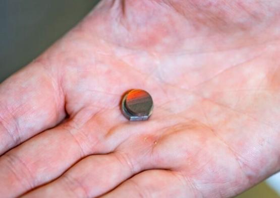 Butterfly wings structure etched onto metal disc