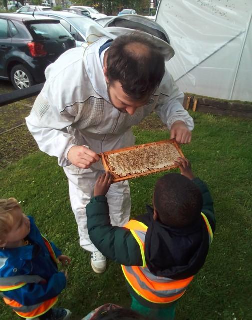 Beekeeper showing a nursery school child a bee frame