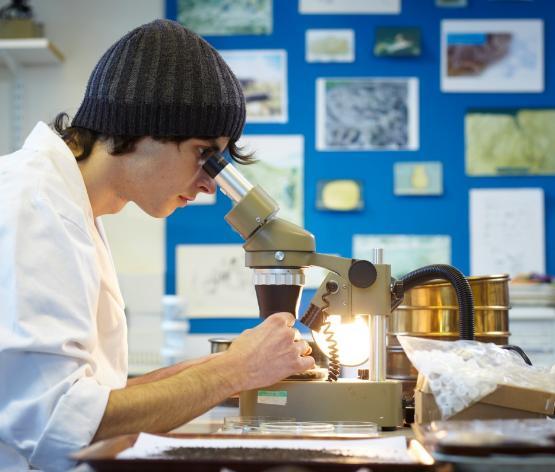 A student looking through a microscope