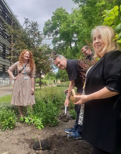 Group of people planting the ginkgo tree sapling