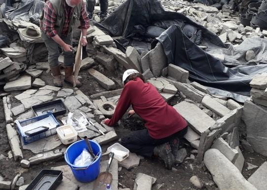 Archaeologists working on a dig site