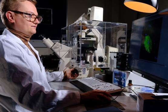 A lab technician looking at an image on a computer screen