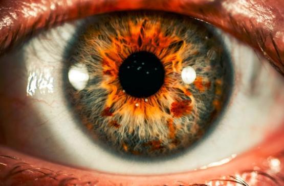 Close up image of a human eye, showing the iris and pupil