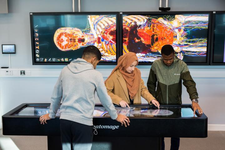 Clinical Sciences students using the anatomage table.